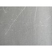P492450059 A.S. Création historizujúca vliesová tapeta na stenu Styleguide Natürlich 2024 sivá s lesklým prelisom, veľkosť 10,05 m x 53 cm