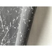 P492450060 A.S. Création historizujúca vliesová tapeta na stenu Styleguide Natürlich 2024 tmavo sivá s lesklým prelisom, veľkosť 10,05 m x 53 cm