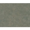 P492450068 A.S. Création historizujúca vliesová tapeta na stenu Styleguide Natürlich 2024 retro grafický motív, veľkosť 10,05 m x 53 cm