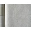 P492450080 A.S. Création historizujúca vliesová tapeta na stenu Styleguide Natürlich 2024 imitácia štuku, veľkosť 10,05 m x 53 cm