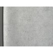 P492450122 A.S. Création historizujúca vliesová tapeta na stenu Styleguide Natürlich 2024 imitácia štuku, veľkosť 10,05 m x 53 cm