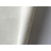 P492450134 A.S. Création historizujúca vliesová tapeta na stenu Styleguide Natürlich 2024 imitácia štuku, veľkosť 10,05 m x 53 cm