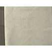 P492450137 A.S. Création historizujúca vliesová tapeta na stenu Styleguide Natürlich 2024 imitácia štuku, veľkosť 10,05 m x 53 cm