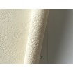 P492450137 A.S. Création historizujúca vliesová tapeta na stenu Styleguide Natürlich 2024 imitácia štuku, veľkosť 10,05 m x 53 cm
