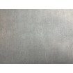P492460008 A.S. Création vliesová tapeta na stenu Styleguide Design 2024 jednofarebná, veľkosť 10,05 m x 53 cm