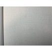 P492460013 A.S. Création vliesová tapeta na stenu Styleguide Design 2024 krémovo-sivá, veľkosť 10,05 m x 53 cm