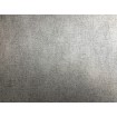 P492460022 A.S. Création vliesová tapeta na stenu Styleguide Design 2024 pásikavá s metalickým nádychom, veľkosť 10,05 m x 53 cm