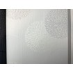 P492460078 A.S. Création vliesová tapeta na stenu Styleguide Design 2024 grafický retro motív, veľkosť 10,05 m x 53 cm