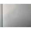 P492460083 A.S. Création vliesová tapeta na stenu Styleguide Design 2024 jednofarebná, veľkosť 10,05 m x 53 cm