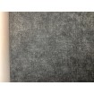 P492460100 A.S. Création vliesová tapeta na stenu Styleguide Design 2024 jednofarebná pásikavá, veľkosť 10,05 m x 53 cm