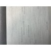 P492460126 A.S. Création vliesová tapeta na stenu Styleguide Design 2024 zvislé metalické jemné prúžky, veľkosť 10,05 m x 53 cm