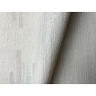 P492460126 A.S. Création vliesová tapeta na stenu Styleguide Design 2024 zvislé metalické jemné prúžky, veľkosť 10,05 m x 53 cm