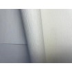 p492470062 A.S. Création vliesová tapeta na stenu Styleguide Colours 2024 jednofarebná šrafovaná, veľkosť 10,05 m x 53 cm