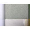 p492470094 A.S. Création vliesová tapeta na stenu Styleguide Colours 2024 jednofarebná, veľkosť 10,05 m x 53 cm