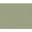 p492470095 A.S. Création vliesová tapeta na stenu Styleguide Colours 2024 jednofarebná, veľkosť 10,05 m x 53 cm