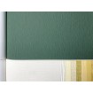 p492470098 A.S. Création vliesová tapeta na stenu Styleguide Colours 2024 jednofarebná, veľkosť 10,05 m x 53 cm