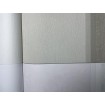p492470117 A.S. Création vliesová tapeta na stenu Styleguide Colours 2024 jednofarebná, veľkosť 10,05 m x 53 cm