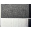 p492470202 A.S. Création vliesová tapeta na stenu Styleguide Colours 2024 pásikavá, veľkosť 10,05 m x 53 cm