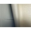 p492470236 A.S. Création vliesová tapeta na stenu Styleguide Colours 2024 jednofarebná lesklá, veľkosť 10,05 m x 53 cm
