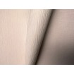 p492470240 A.S. Création vliesová tapeta na stenu Styleguide Colours 2024 jednofarebná šrafovaná, veľkosť 10,05 m x 53 cm