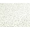 p492470263 A.S. Création vliesová tapeta na stenu Styleguide Colours 2024 biela s metalickým žíhaním, veľkosť 10,05 m x 53 cm