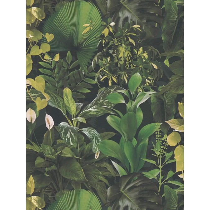 AS Creation 39698-1 vliesová tapeta z kolekcie AS ROVI 2027, rozmery 10,05 x 0,53 m