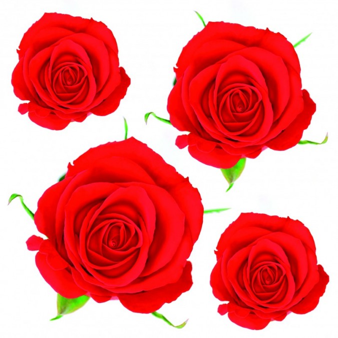 Red Roses 42010 samolepiace dekorácie ruže