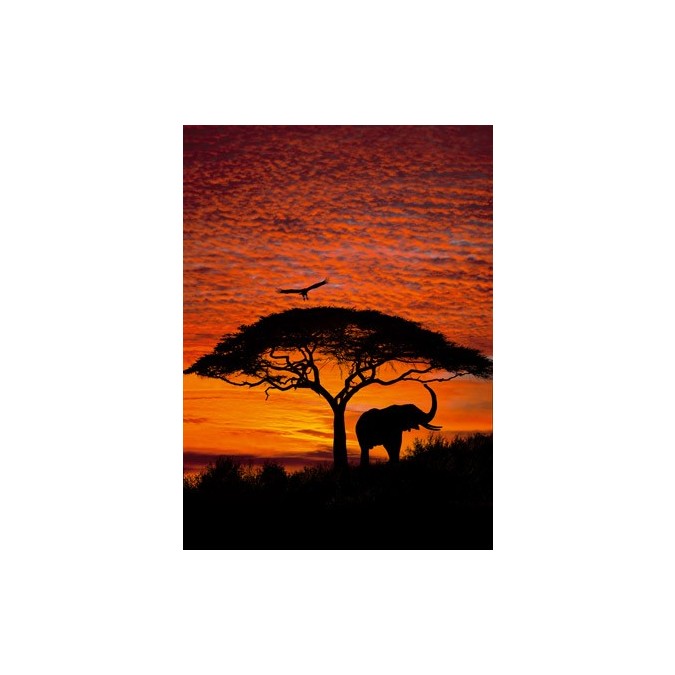 KOMR 105-4 african-sunset Fototapeta Komar