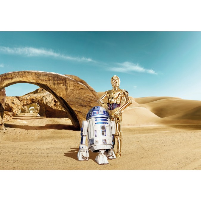 KOMR 484-8 Obrazová fototapety Komar Star Wars Lost Droids, veľkosť 368 x 254 cm