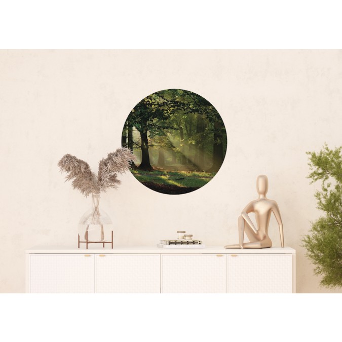 CR 3210 AG Design fototapety ekologická vliesová samolepiaca 1-dielna okrúhla Kúzelný les, veľkosť 70x70 cm