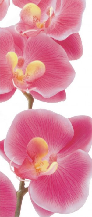 FTN V 2826 Vliesová fototapeta dverná Pink orchid, veľkosť 90 x 202 cm