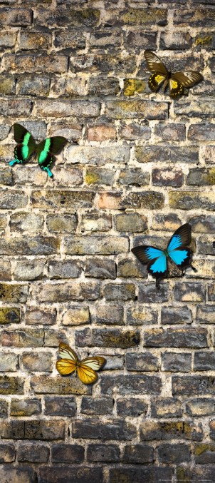 FTN V 2905 Vliesová fototapeta dverná Butterfly on the wall, veľkosť 90 x 202 cm