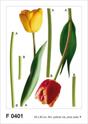 F 0401 AG Design Samolepiace dekorácie - samolepka na stenu - 2 tulips, veľkosť 65 cm x 85 cm