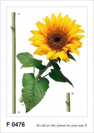 F 0476 AG Design Samolepiace dekorácie - samolepka na stenu - Sunflower, veľkosť 65 cm x 85 cm