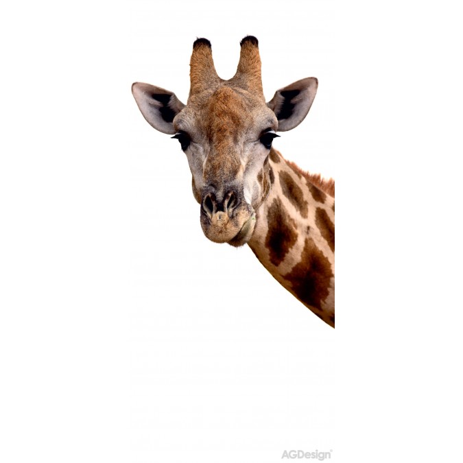 FTN V 2851 Obrazová vliesová fototapeta dverná FTNV2851 Žirafa, veľkosť 90 x 202 cm