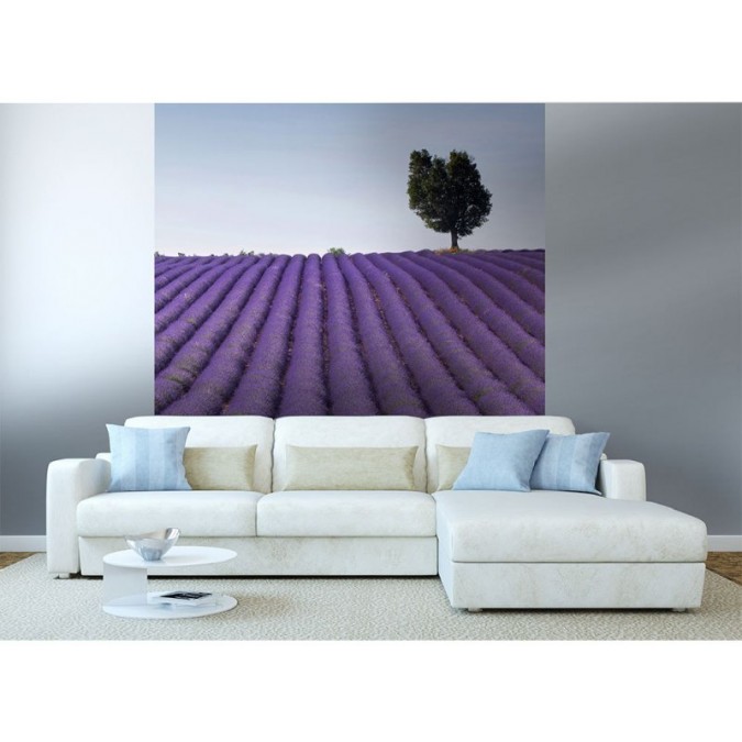 MS-3-0088 Vliesová obrazová fototapeta Lavender Field, veľkosť 225 x 250 cm