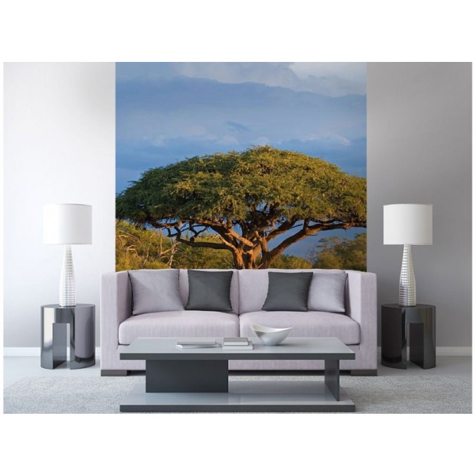 MS-3-0097 Vliesová obrazová fototapeta Acacia Tree, veľkosť 225 x 250 cm