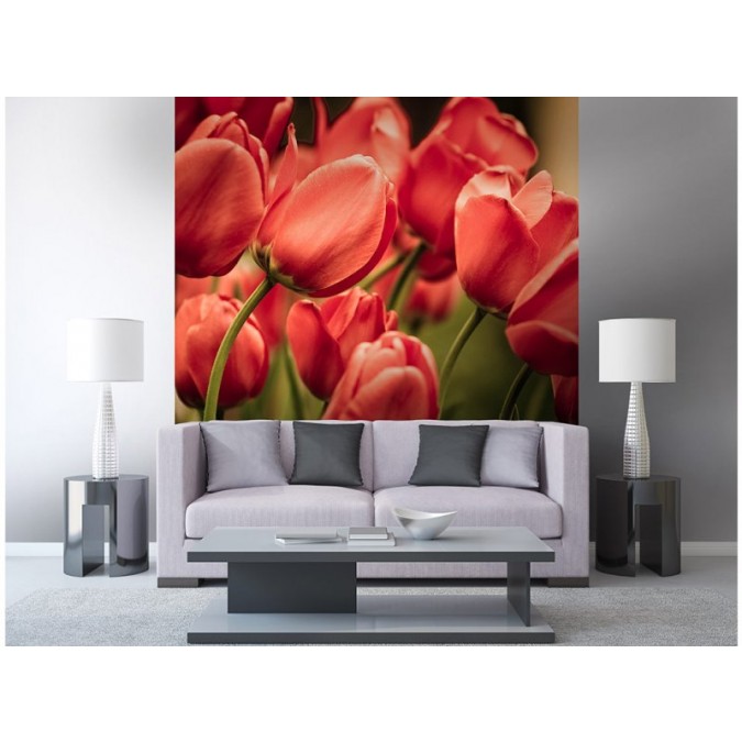 MS-3-0128 Vliesová obrazová fototapeta Red Tulips, veľkosť 225 x 250 cm