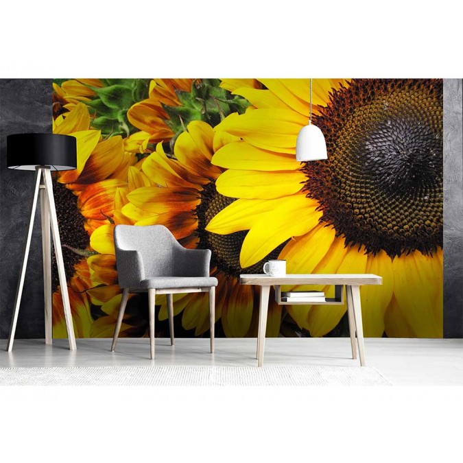 MS-5-0130 Vliesová obrazová fototapeta Sunflowers, veľkosť 375 x 250 cm