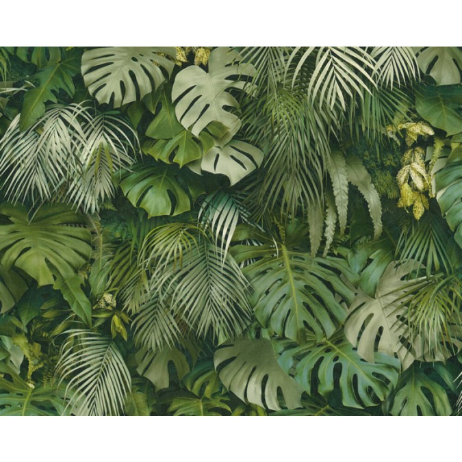 P492440071 A.S. Création vliesová tapeta na stenu Styleguide Jung 2024 palmové listy, veľkosť 10,05 m x 53 cm