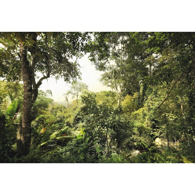 KOMR 420-4 XXL Vliesová fototapeta na stenu Komar džungľa- dažďový prales, veľkosť 368x248 cm