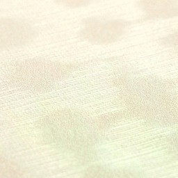 AS Creation 79253-2 vliesová tapeta z kolekcie Trend Spectrum, rozmery 10,05 x 0,53 m