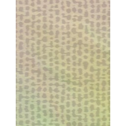 AS Creation 79253-3 vliesová tapeta z kolekcie Trend Spectrum, rozmery 10,05 x 0,53 m