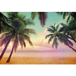 KOMR 769-8 Papierová Utierateľné fototapety na stenu Komar Miami pláž a palmy, veľkosť 368 x 254