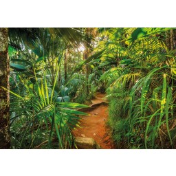 KOMR 989-8 Komar obrazová Utierateľná fototapeta Komar Jungle Trail, veľkosť 368x254 cm