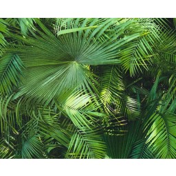 Livingwalls 362001 vliesová tapeta na zeď, rozměry 10.05 x 0.53 m