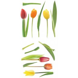 Samolepiace dekorácie Tulipány