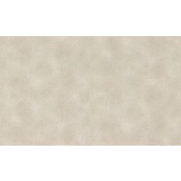 975215 Rasch zámocká vliesová umývateľná tapeta na stenu Tendencie (2024), veľkosť 10,00 m x 1,06 m