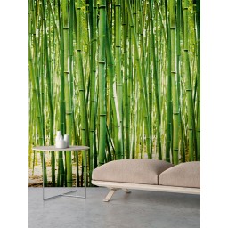 A36901 Grandeco vliesová fototapeta na stenu bambus z kolekcie One roll one motif, veľkosť 1,59 m x 2,8 m