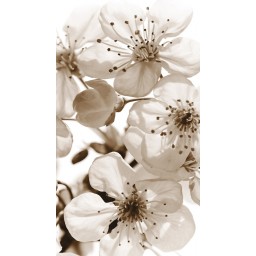 FCM L 7783 AG Design textilný foto záves obrazový Flowers - Kvety FCML 7783, veľkosť 140 x 245 cm